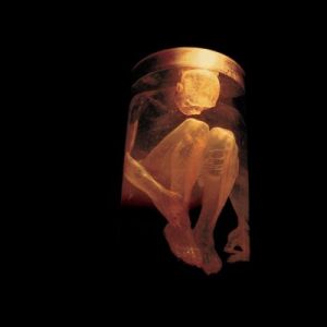Album Alice In Chains - Nothing Safe: Best of the Box