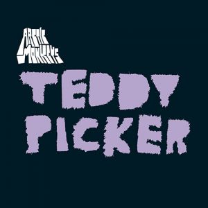 Arctic Monkeys Teddy Picker, 2007