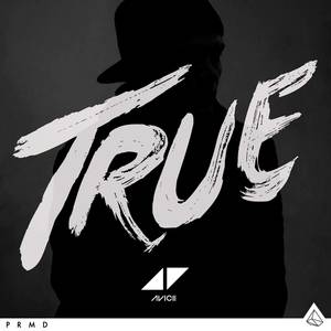 Album Avicii - True