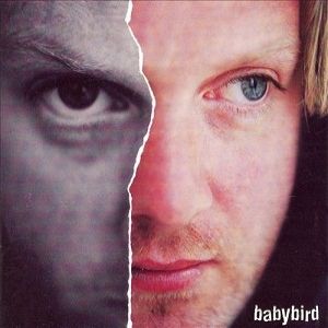 Babybird : Between My Ears There Is Nothing But Music