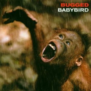 Album Babybird - Bugged