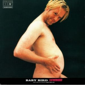 Album Babybird - Fatherhood