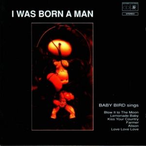 I Was Born a Man - Babybird