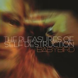 The Pleasures of Self Destruction - album