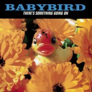 Babybird : There's Something Going On