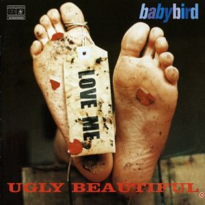 Album Babybird - Ugly Beautiful