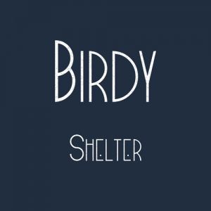 Album Birdy - Shelter