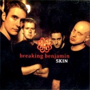 Album Breaking Benjamin - Skin