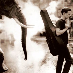 Bryan Adams On a Day Like Today, 1998