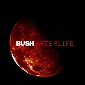 Album Bush - Afterlife