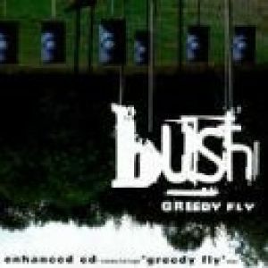Album Bush - Greedy Fly