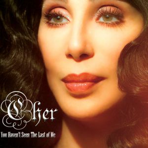 Cher You Haven't Seen the Last of Me, 2010