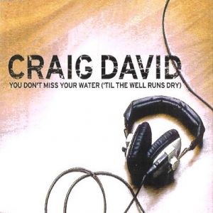 You Don't Miss Your Water('Til the Well Runs Dry) - Craig David