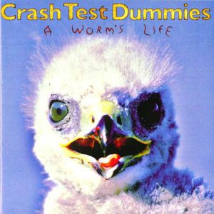 Album Crash Test Dummies - A Worm