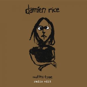 Damien Rice : Rootless Tree