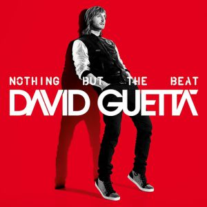 Nothing but the Beat - album