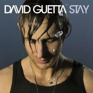 Stay - David Guetta