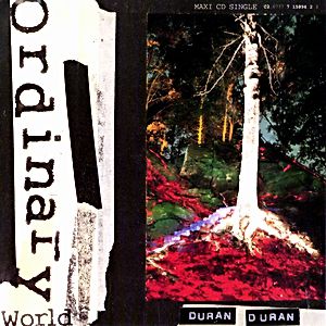Ordinary World - album