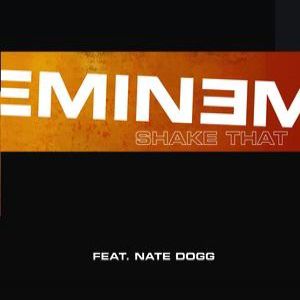 Album Eminem - Shake That
