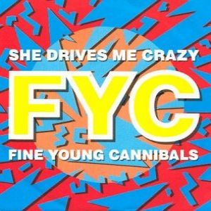 Album Fine Young Cannibals - She Drives Me Crazy
