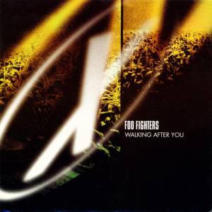 Album Foo Fighters - Walking After You