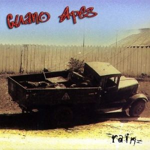 Album Guano Apes - Rain