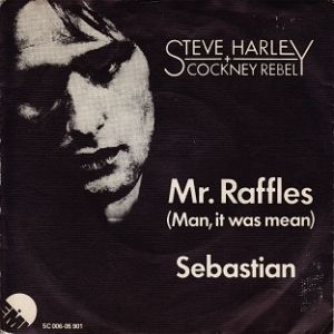 Mr. Raffles (Man, It Was Mean) - Steve Harley