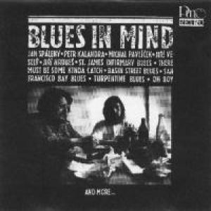 Jan Spálený : Blues In Mind