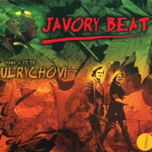 Javory beat - album