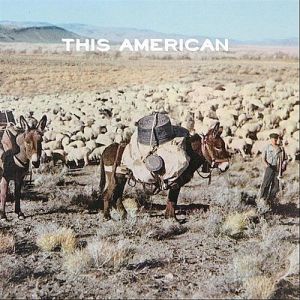 Album This American - Joe Purdy