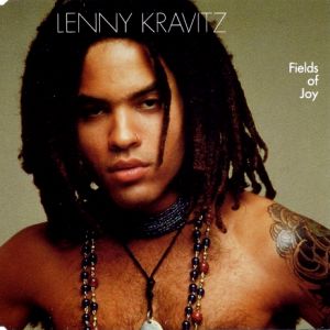 Album Fields of Joy - Lenny Kravitz