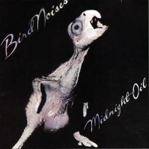 Album Bird Noises - Midnight Oil