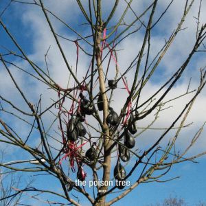 The Poison Tree - album