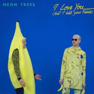I Love You (But I Hate Your Friends) Album 
