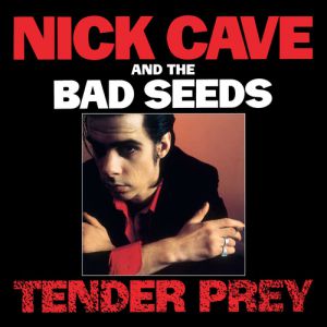 Album Nick Cave & The Bad Seeds - Tender Prey