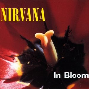 Album In Bloom - Nirvana