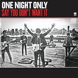 One Night Only : Say You Don't Want It