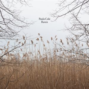 Album Raven - Paula Cole