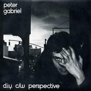 Album Peter Gabriel - D.I.Y.