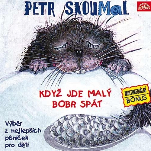 Album Když jde malý bobr spát - Petr Skoumal