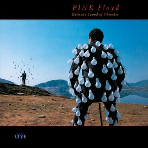 Album Pink Floyd - Delicate Sound Of Thunder