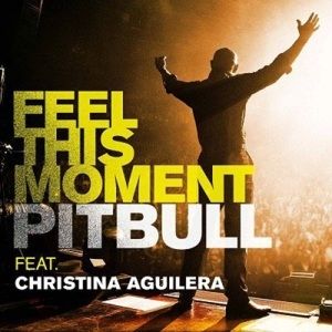Album Pitbull - Feel This Moment