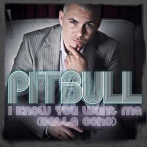 Album I Know You Want Me (Calle Ocho) - Pitbull