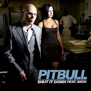 Shut It Down - Pitbull