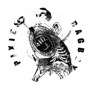 Album Pixies - Bagboy
