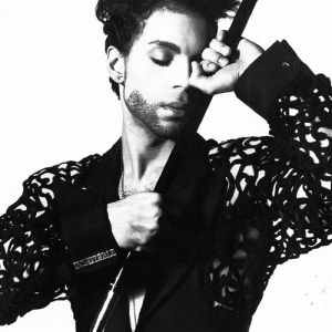 Album Prince - The Hits 1