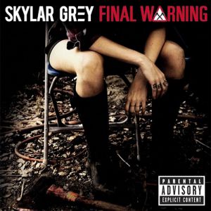 Album Skylar Grey - Final Warning
