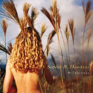 Album Sophie B. Hawkins - Wilderness