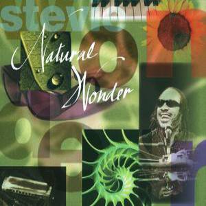 Stevie Wonder Natural Wonder, 1995