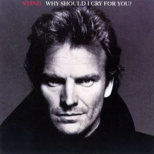 Why Should I Cry for You - album
